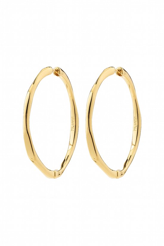 Parker Hoop Earrings 2